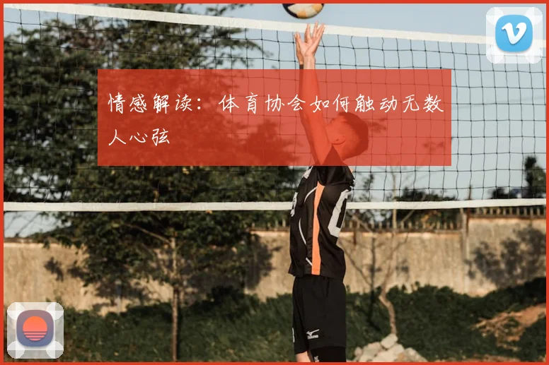 情感解读:体育协会如何触动无数人心弦