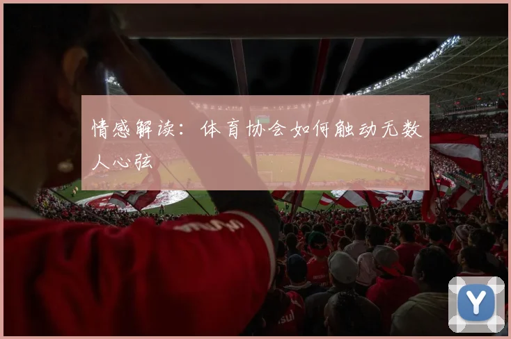 情感解读：体育协会如何触动无数人心弦